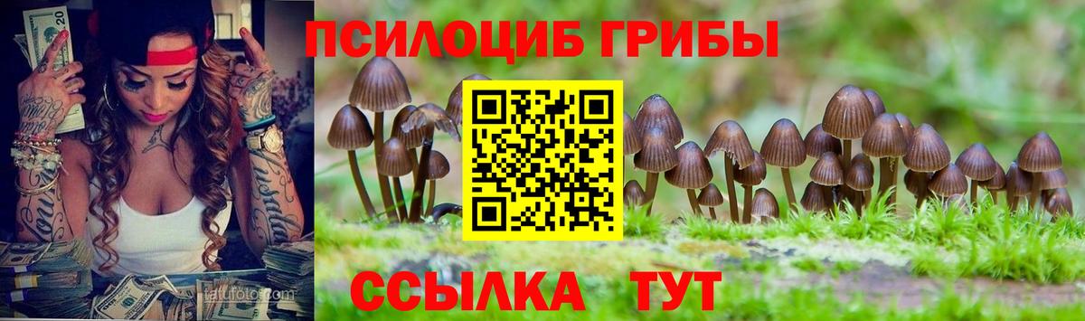 Галлюциногенные грибы Psilocybine cubensis Йошкар-Ола